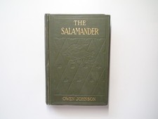 The Salamander, Owen Johnson, Illustrated by Everett Shinn, 1914