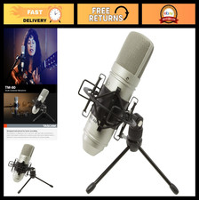 Large Diaphragm Condenser Microphone - Studio Quality, Silver, High Sensitivity