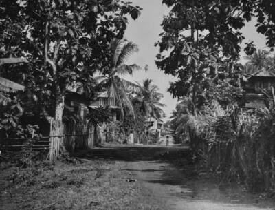 Lone figure distance walks along a tree lined road Waterloo Fre- 1955 Old Photo