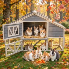 Wooden Cat Condo Outdoor Shelter House for Stray Feral Cats