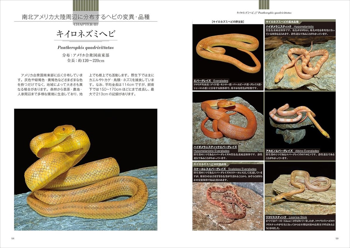 Snakes Morph Illustrated Encyclopedia Book varieties & mutations