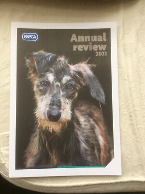 RSPCA 2021 Annual Review UK - Main Image