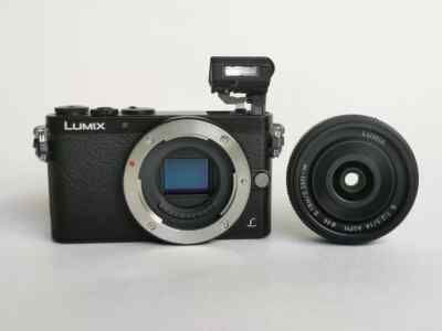 Mint] Panasonic LUMIX DMC-GM1 Black Digital Camera English