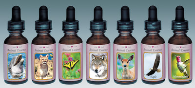 Wild Earth Essences, Wild Child, Wild Chakra, Inner Dog, Stockbottle, 30 ml