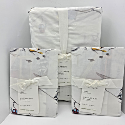 Pottery Barn King Whistler Run Duvet Cover & 2 Euro Shams New