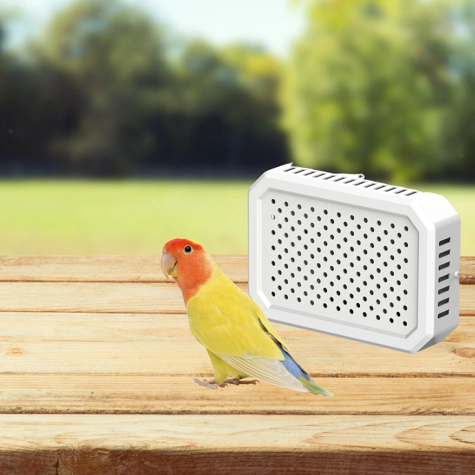 Bird Heater for Cage Lightless Warming Device Reliable Thermostat Controller