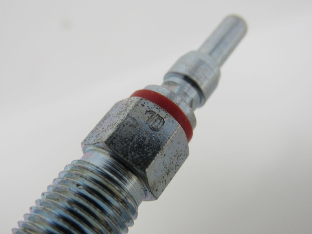 Champion Diesel Glow Plug 184CH84 | eBay