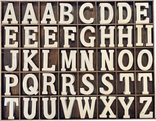 205 Pieces 2 Inch Wooden Letters Wood Alphabets for Crafts,Organized with Extra