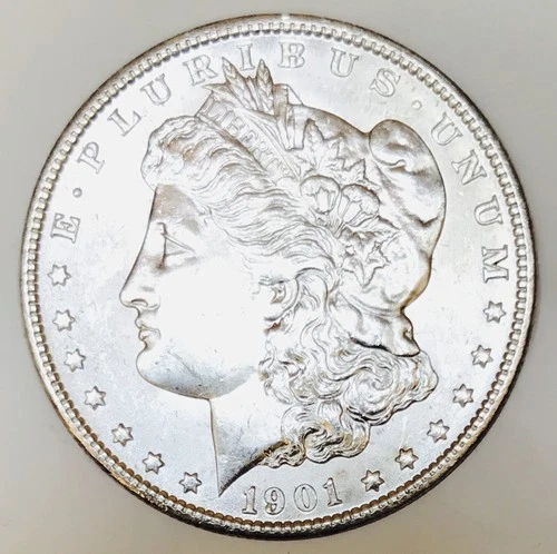 *1901 O MORGAN DOLLAR* *GEM BU+++* NR #G3915