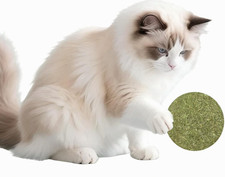 Catnip Balls for Cats - 2 Inches Diameter Catnip Ball, Interactive Cat Toy for I