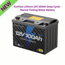 EcoFlow Lithium 12V 100Ah Deep Cycle Marine Trolling Motor Battery 1280Wh