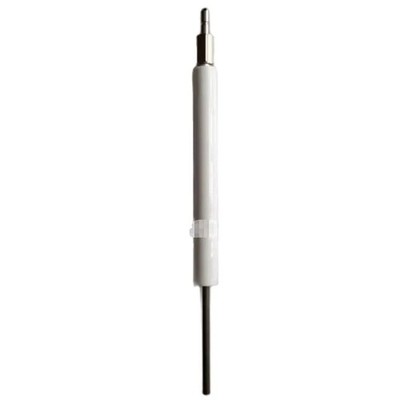 1PC New Riello BS3 Ion Rod Brand Free Ship #jg