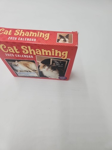 Cat Shaming 2025 Day-To-Day Calendar Easel Back No Plastic Daily Extras - Picture 2 of 5