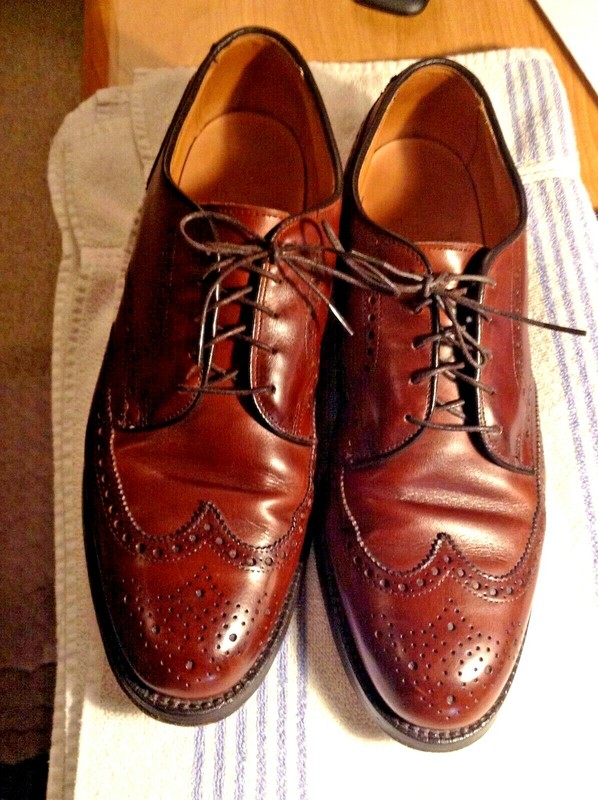 Port Washington WI Allen Edwards Wing Tip Oxfords "the Auburn" 11D