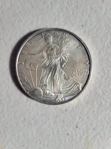 WOW - 2003 U.S. American Eagle Walking Liberty 1oz Fine Silver Dollar Coin