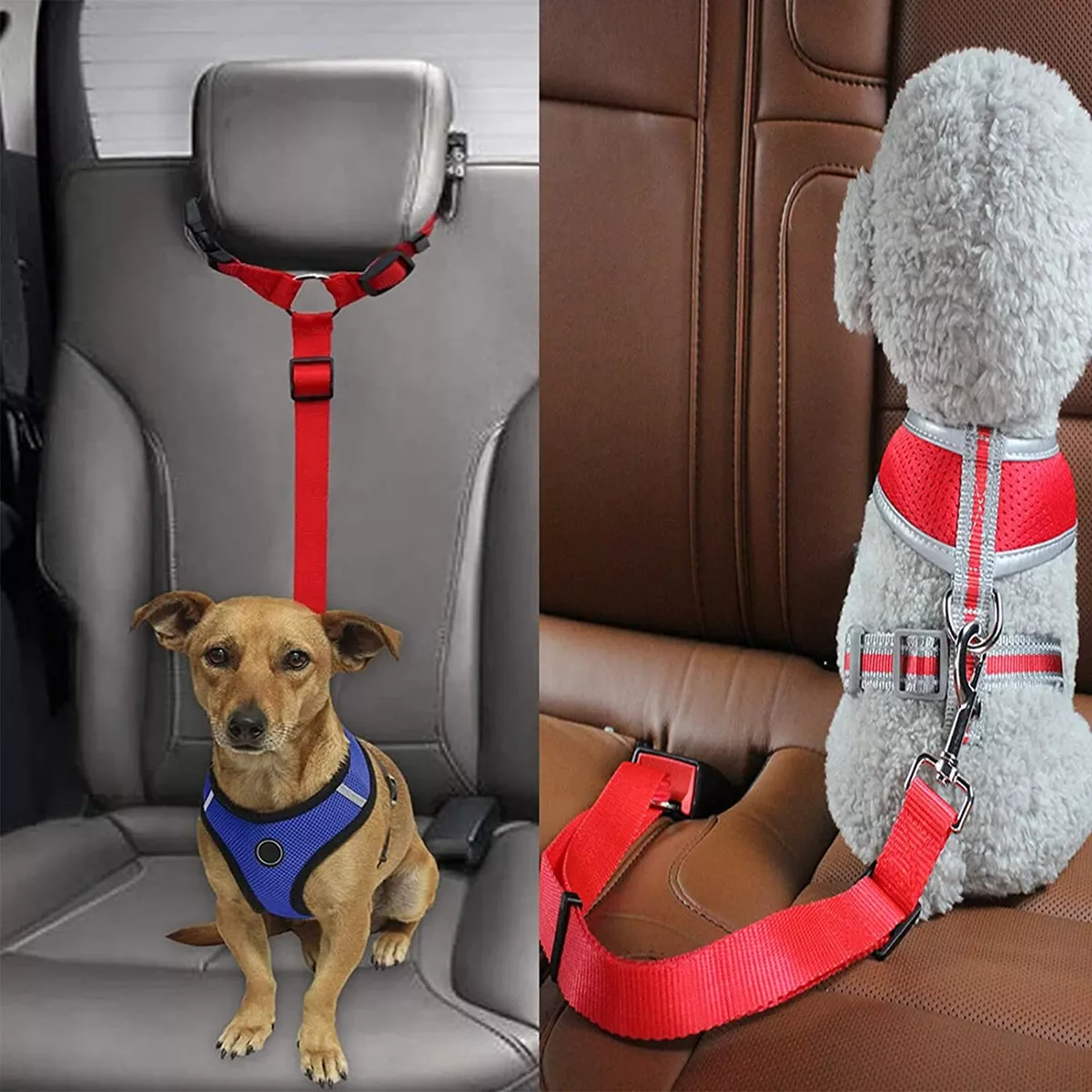 Ceinture de sécurité en Nylon pour voiture, réglable, pour chien