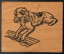The Stamp Pad Cocker Spaniel Dog Paws In A Pool Rubber Stamp