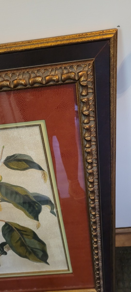 John Richard framed artwork $599 GRF-3682B foliage flowers and