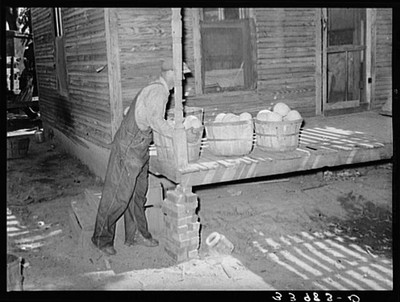 Photo:Man putting baskets of fruit on a porch. Muskogee, Oklahoma
