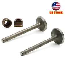 Intake/Exhaust Valve Set For Yamaha Badger 80/Raptor 80/Moto-4 100/Grizzly 80 US