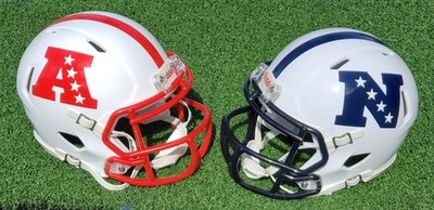 AFC AND NFC LOGO WHITE HELMETS FOOTBALL MINI HELMETS