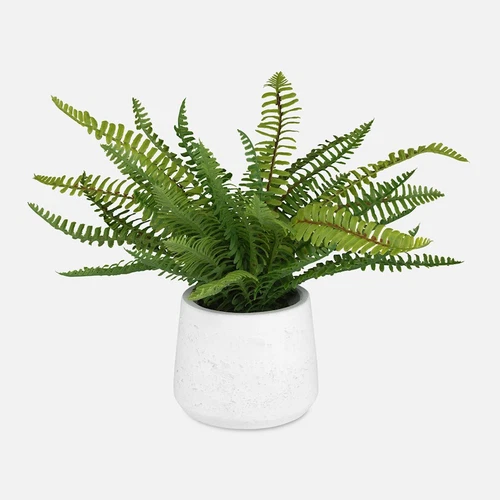 Uttermost Boston Fern In White Ceramic Pot - 60238 - Picture 1 of 1
