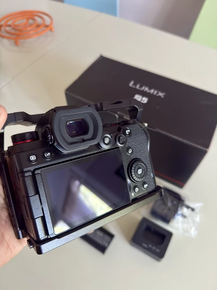 Panasonic Lumix S5, photo 4 of 5
