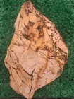Rough Dead Camel Jasperslab 94g. 1/4 Inch Thick Lapidary Cabbing #FR-1 — photo 5