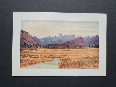 Antique 1907 print - Pitt Meadows on Fraser River - BC - Canada - Mower Martin