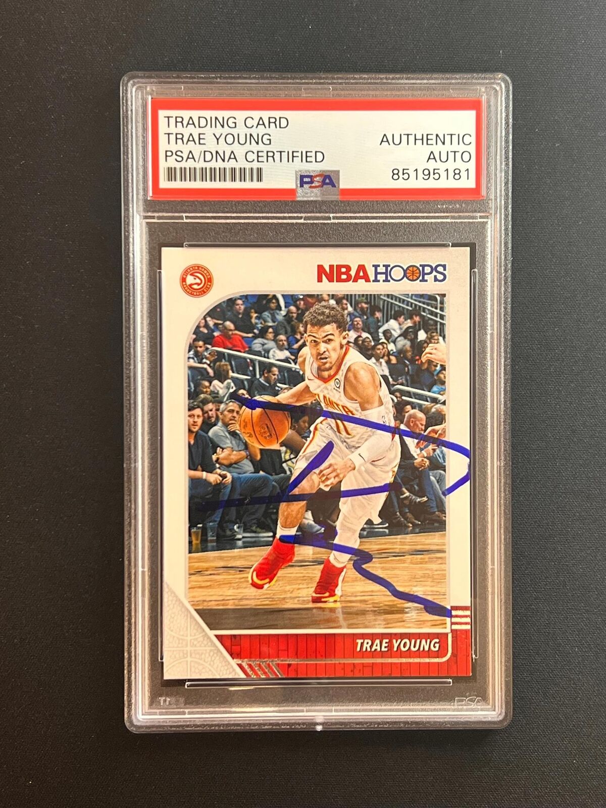 Trae Young | Player Trae Young | Player