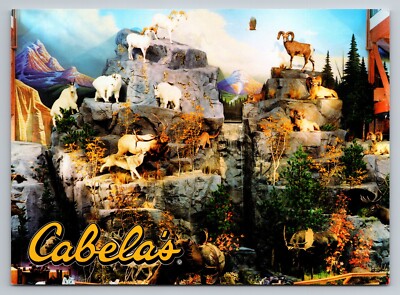 Cabela's Outfitters Prairie Du Chien Wisconsin Vintage Unposted Postcard