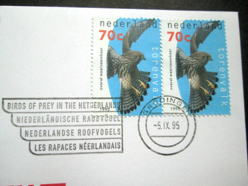 Países Bajos - “BIRDS OF PRESY” ECU Carta / Cubierta de moneda PNC 1995 Foto 3 de 4