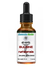 BULBINE NATALENSIS LIQUID  EXTRACT TINCTURE 2 oz. / 60ml. BODYBUILDING