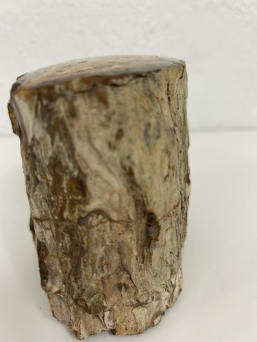 Polished Petrified Fossil Wood Log 165 Million years old - Picture 22 of 22