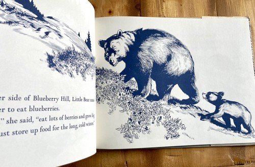 BLUEBERRIES FOR SAL by ROBERT McCLOSKEY 1966 HC w/ DJ ILLUSTRATED MAINE CLASSIC - Picture 7 of 14