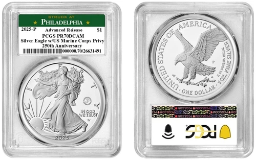 2025-P American Silver Eagle — photo from the most recent tracked eBay sale