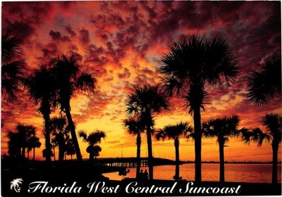 Postcard Florida West Central Suncoast.