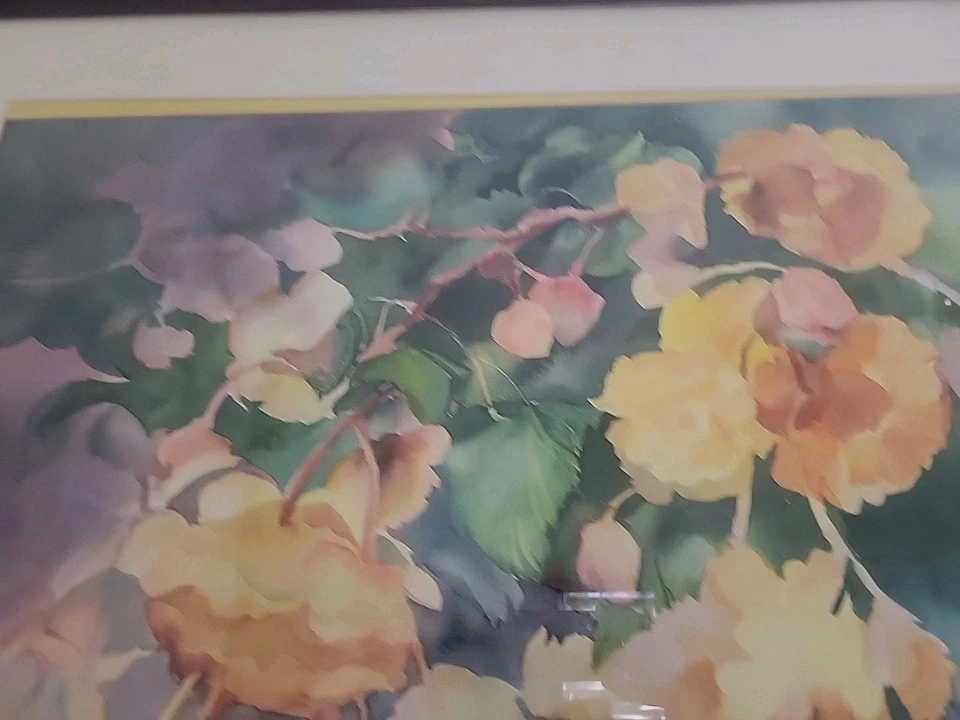 Peônias aquarela originais assinadas grandes - Januáz - Imagem 3 de 4