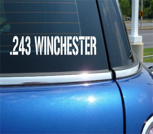 .243 WINCHESTER VINYL DECAL STICKER FOR AMMO CAN BULLET BOX SHELL CALIBER RIFLE - Afbeelding 1 van 3
