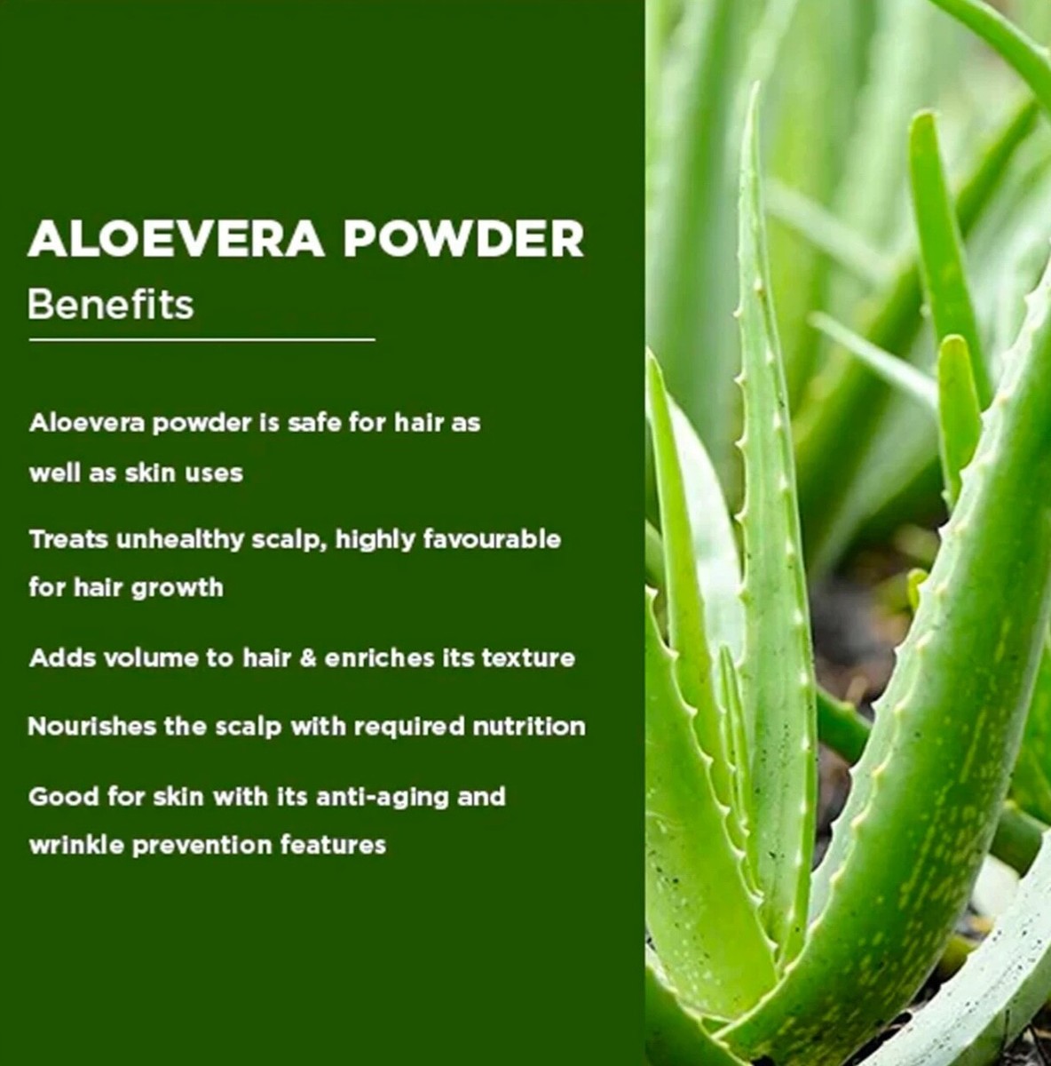 aloe vera gél ital Pure Aloe Vera Gel for Healthy Skin – ATALAYA BIO main image 1