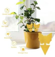 Sticky Fruit Fly Traps, Fungus Gnat Killer Trap use for Indoor Outdoor, 15 pcs