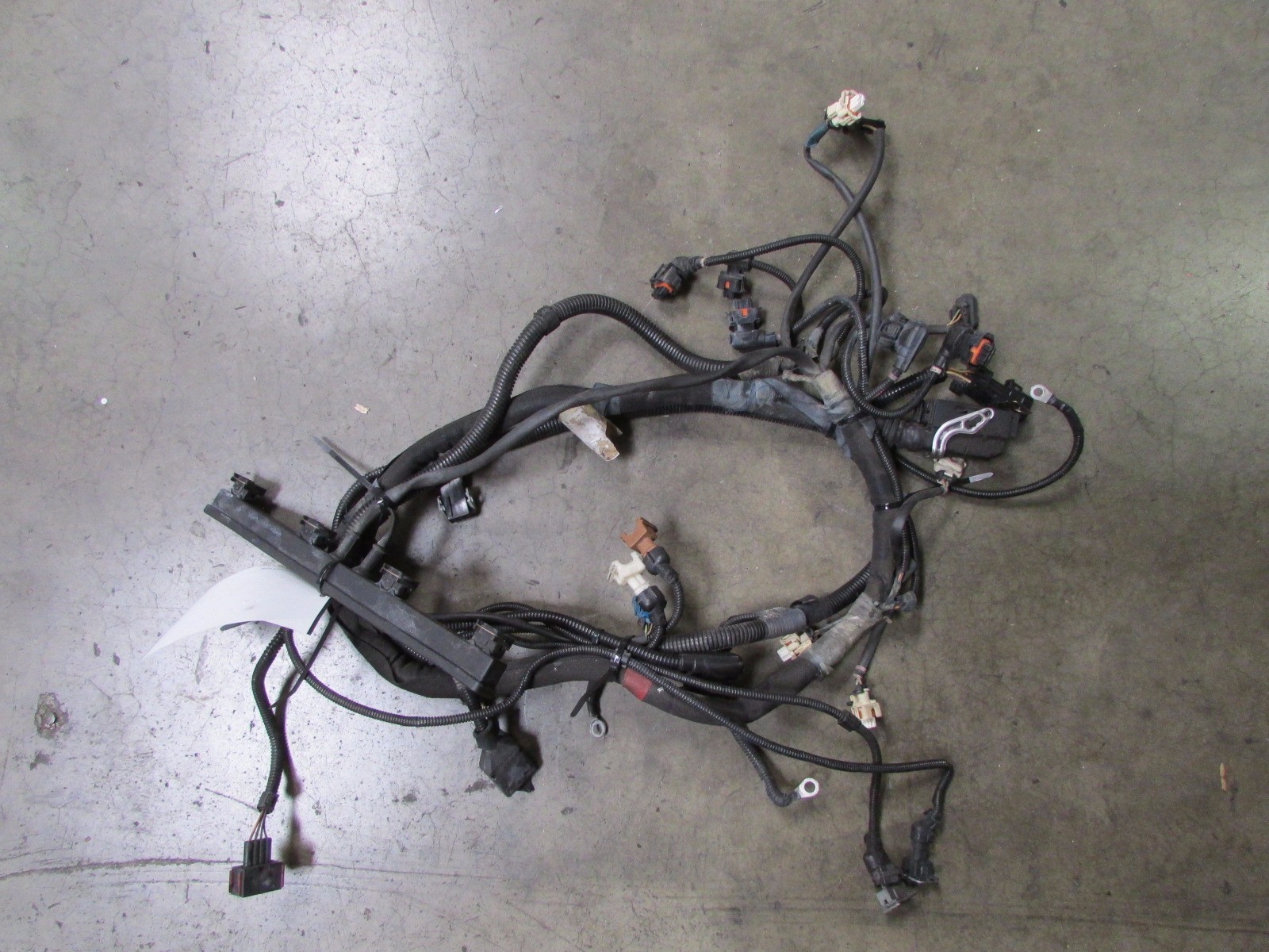 Ferrari 360 Spider, RH, Right Engine Wiring Cable Harness, Used, P/N 179167