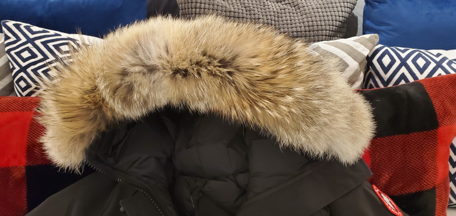 BRAND NEW GREY LABEL CONCEPT EDITION BLACK CANADA GOOSE CHILLIWACK SMALL JACKET image 9