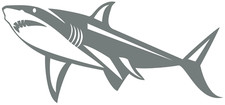 White Shark Decal Multicolor Made In USA