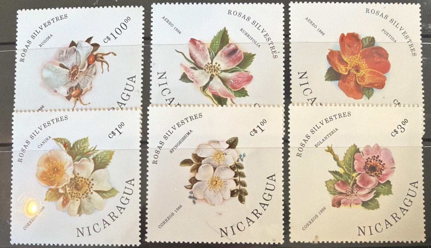 DP Stamps Nicaragua 1986 SC 1494-1499 MNH Set Flowers Roses