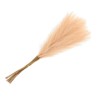 20 pièces pour faux pampas, décor 21"/55cm, beige foncé - Photo 1/4