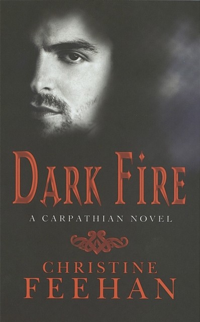 Dark Fire Number 6 in series by Christine Feehan (Paperback Book)