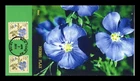 DR JIM STAMPS US COVER HERBS FLAX FIRST DAY ISSUE COMBO ALL OVER BGC