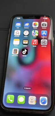 iPhone 12 Pro Max With Tik Tok