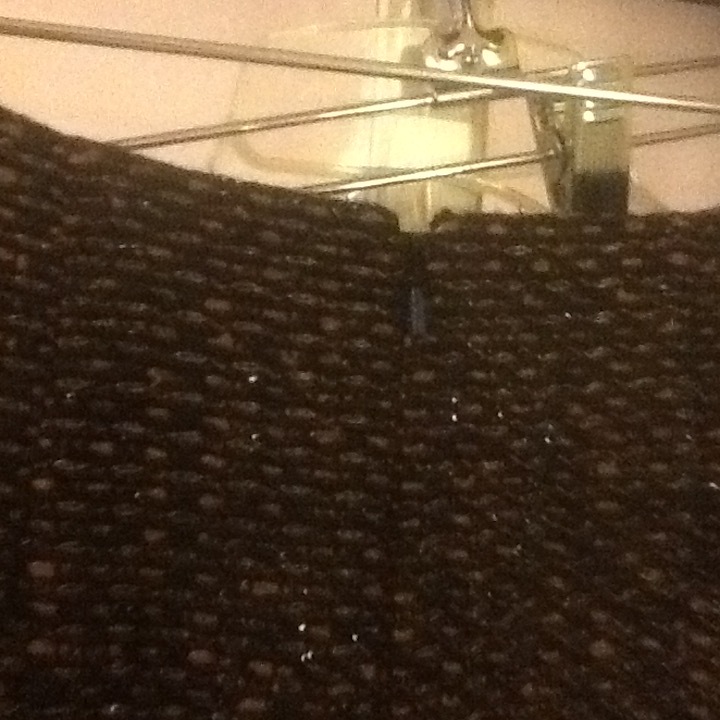 Bild 6 von 8